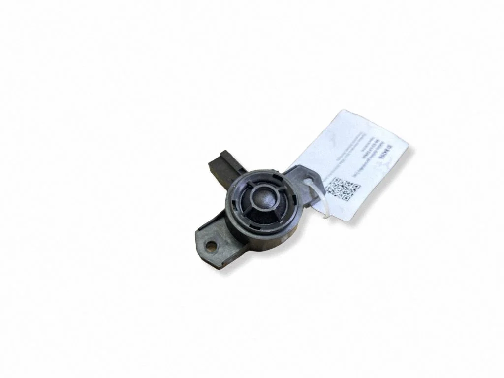 Front door high frequency speaker 31350426