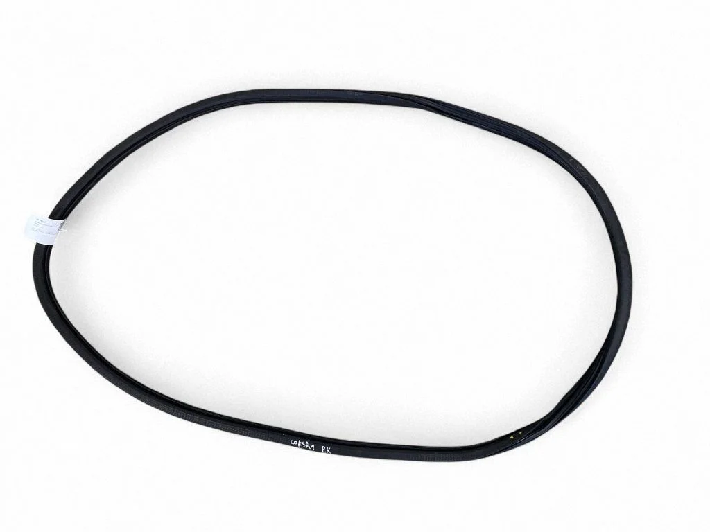 Rubber seal front door (on door) – front left