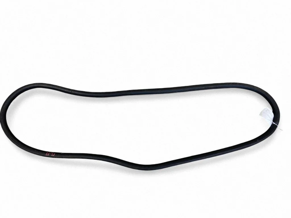 Rubber seal front door (on door) – front right