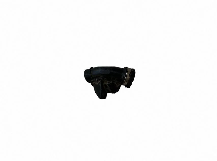 Ieplūdes rezonators 31422061