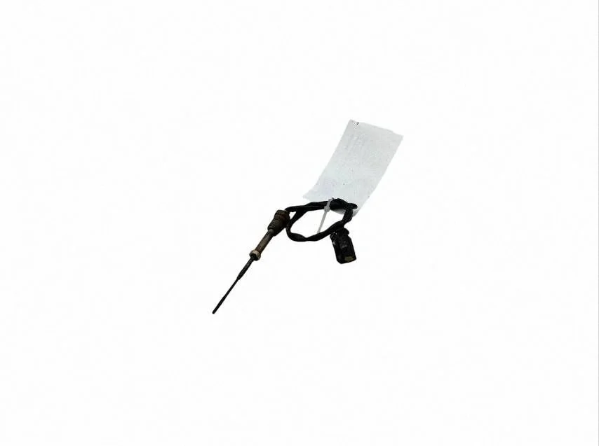 Exhaust gas temperature sensor – BMW X3 G01 (2018-2024)