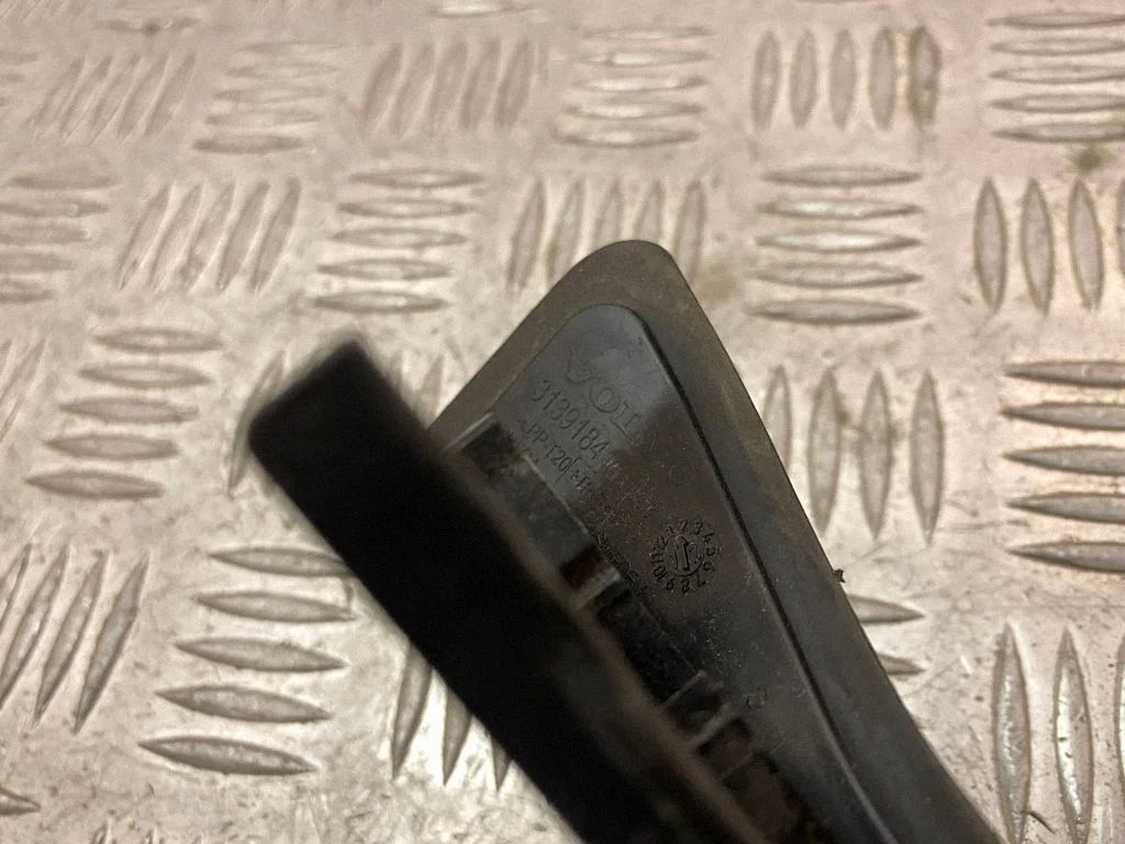 Fender trim (molding) 31391841
