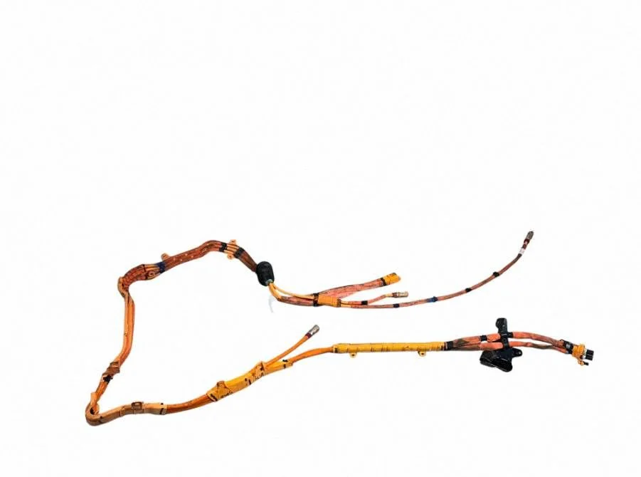 Other wiring loom A2545406534