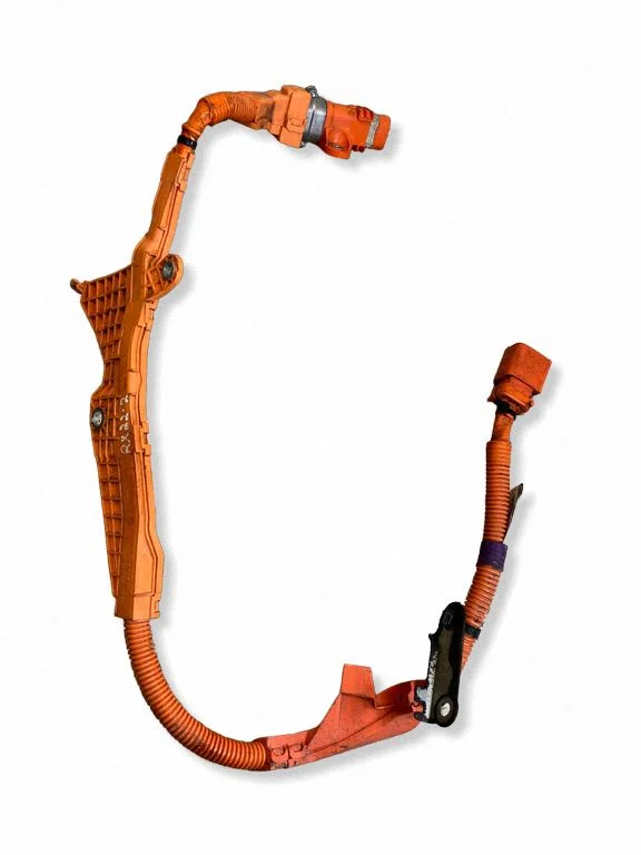 Other wiring loom 821H242030
