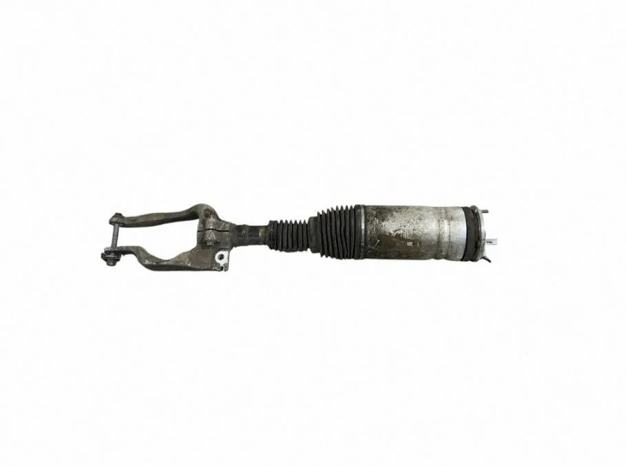 Air suspension front shock absorber DPLA3C285BG