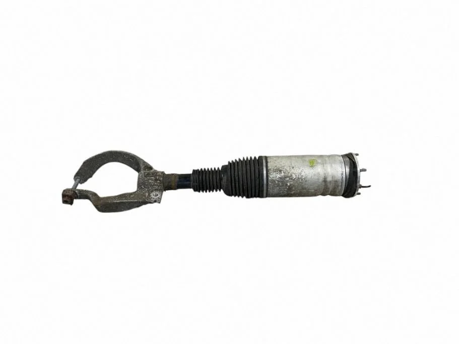 Air suspension front shock absorber DPLA3C286BE