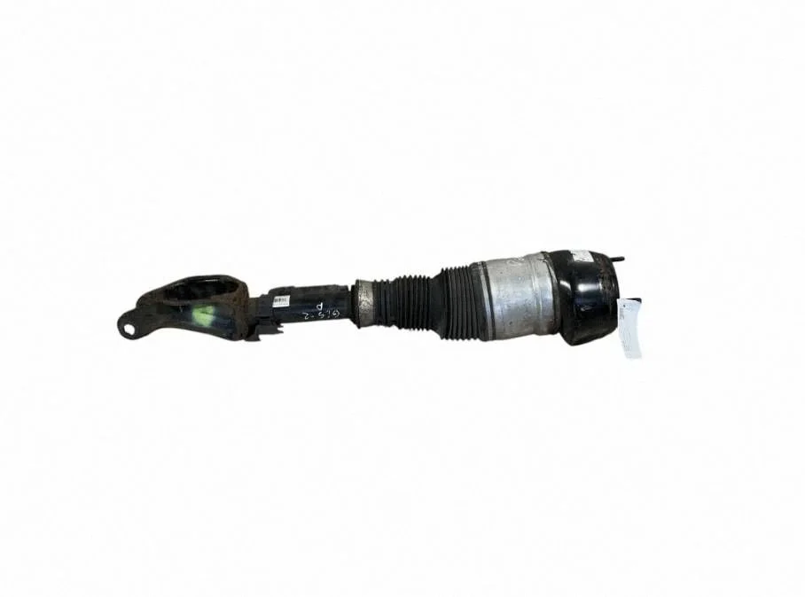 Air suspension front shock absorber A1663235000