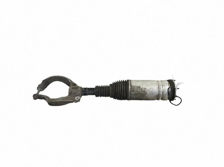 Air suspension front shock absorber DPLA3C286BG