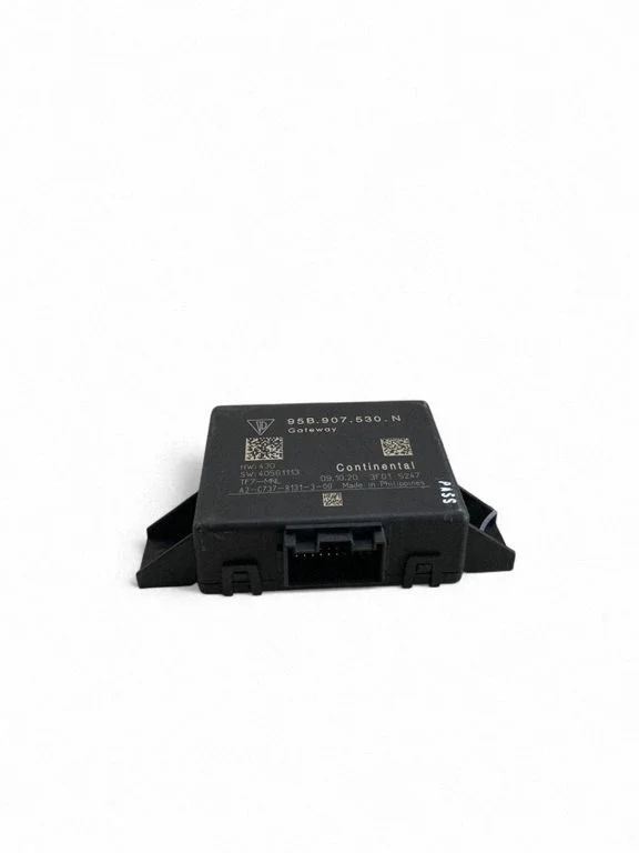Gateway control module 95B907530N