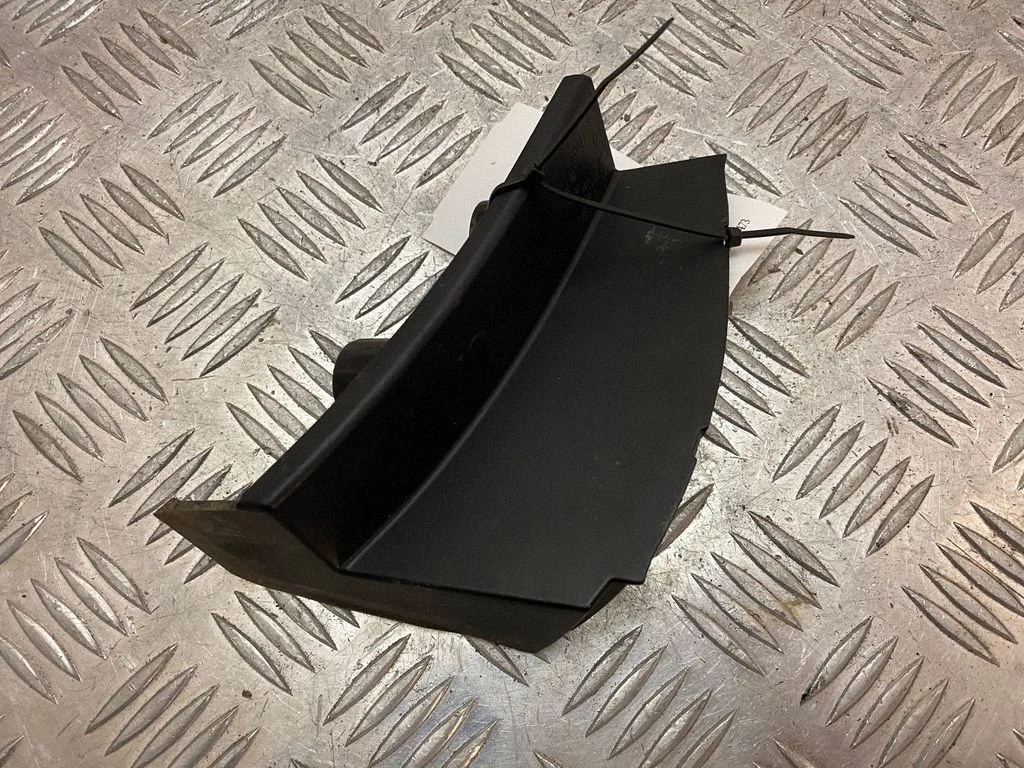 Rear/tail light trim molding 92401D9