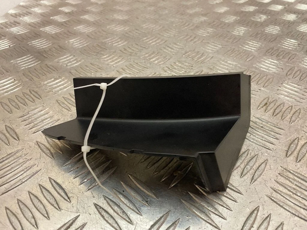 Rear/tail light trim molding – right