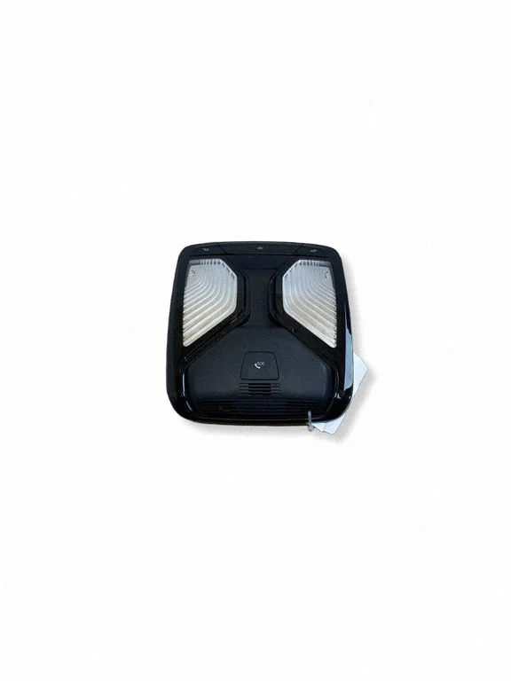Front seat light 9890265