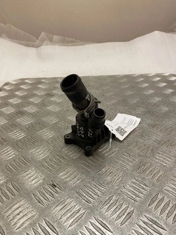Thermostat/thermostat housing 31686045