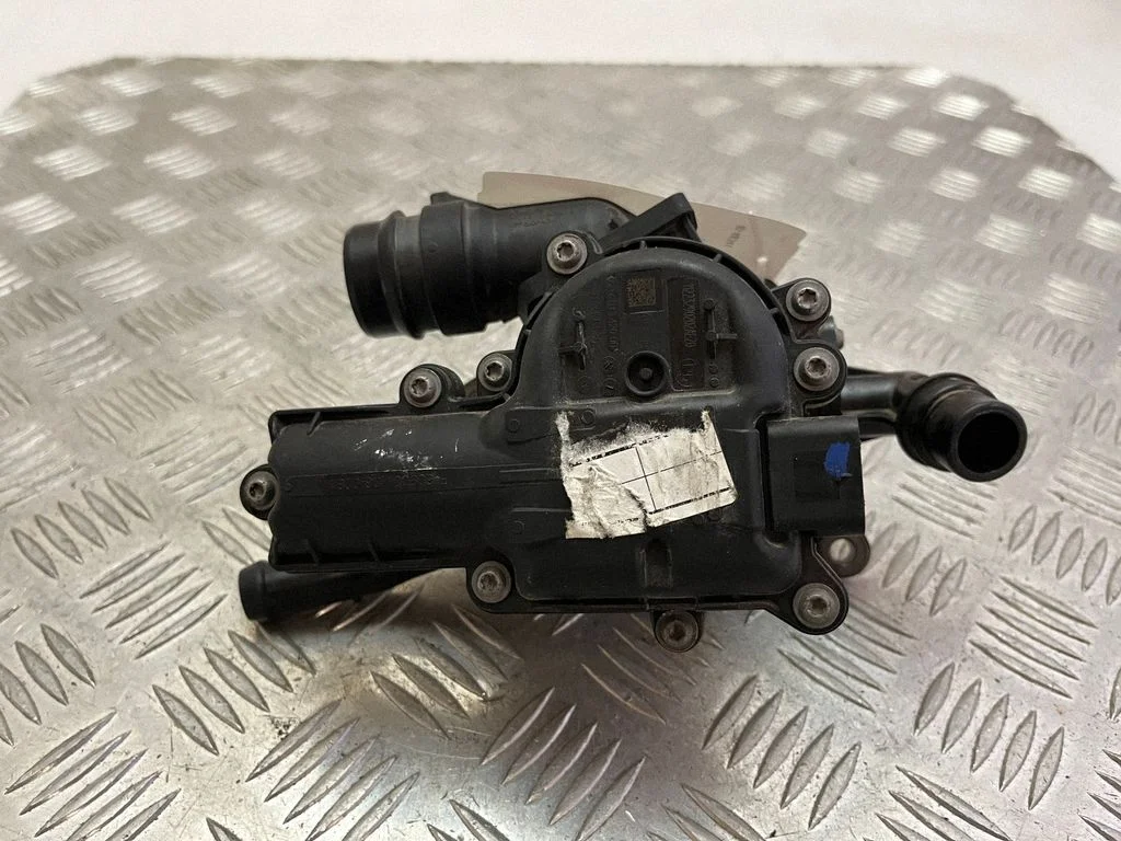 Thermostat/thermostat housing 256002M810