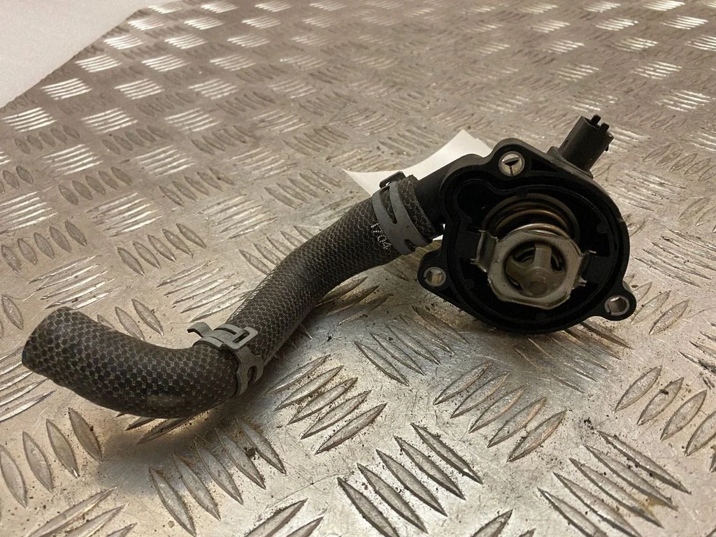 Termostaat / termostaadi korpus 55593034