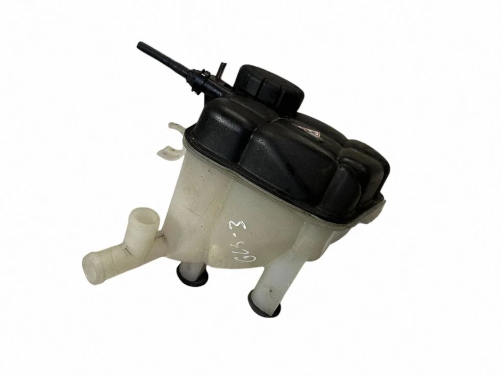 Coolant expansion tank/reservoir 1665000049