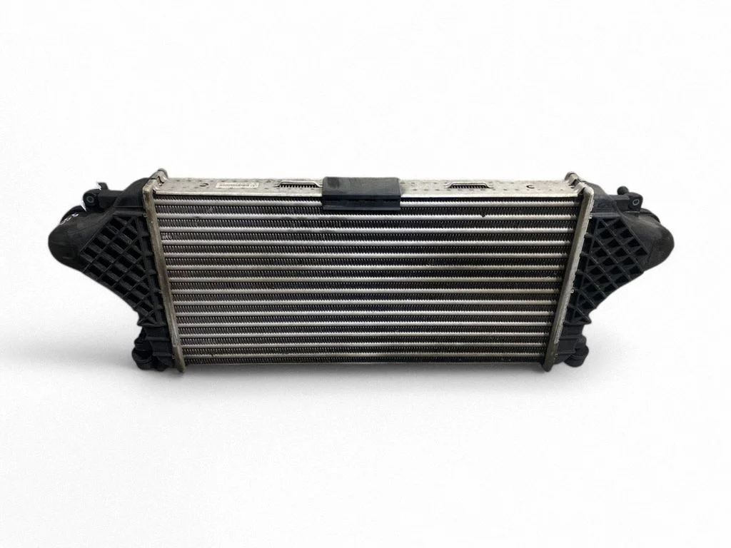 Intercooler radiator A0995002800