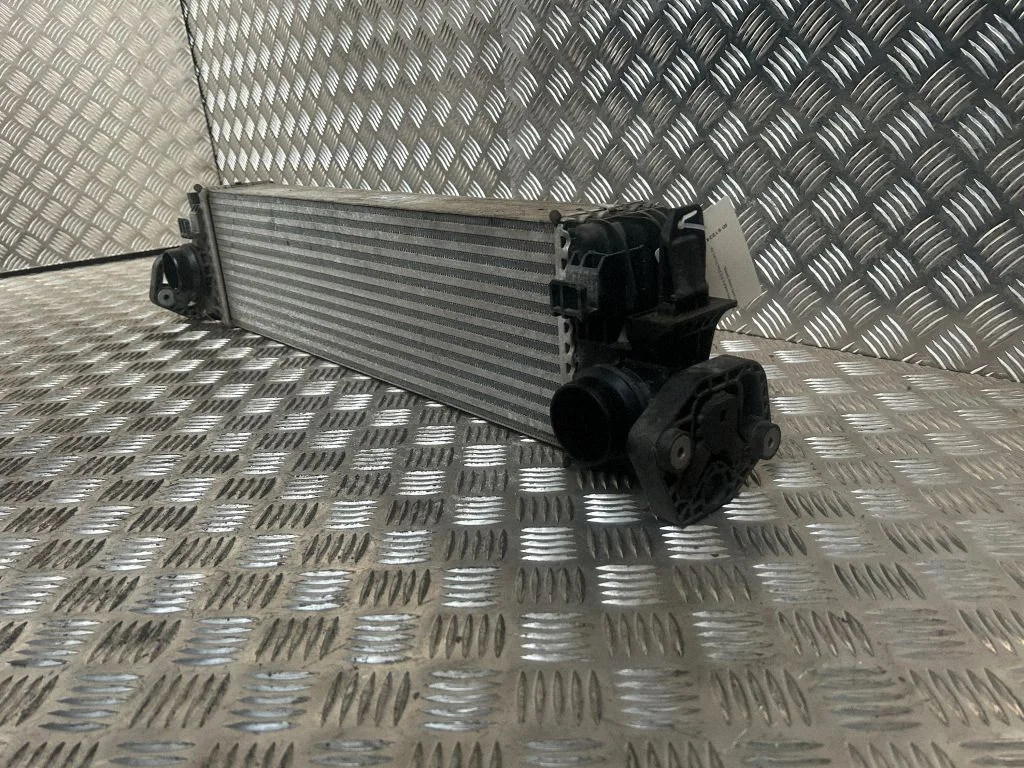 Vahejahuti radiaator 31338306