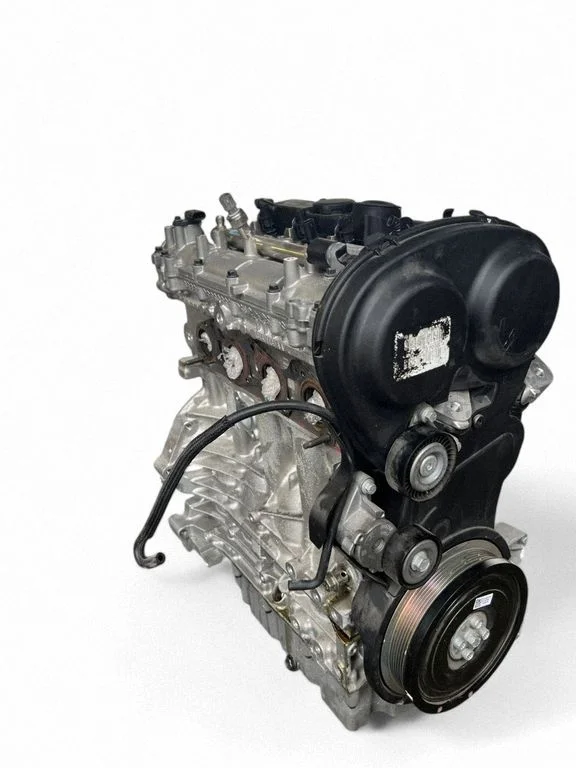 Mootor B4204T35