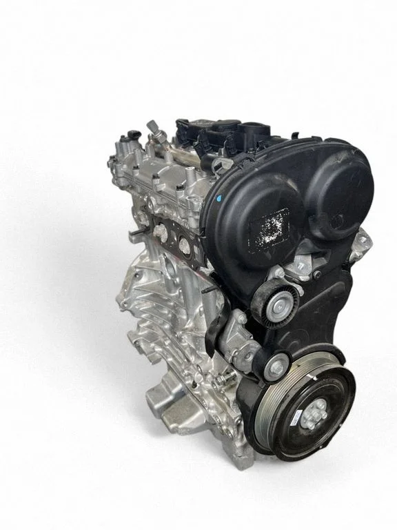 Engine B4204T35