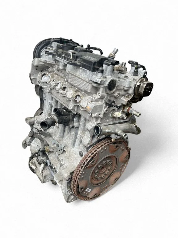 Mootor B4204T20