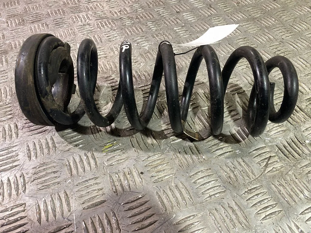 Rear coil spring