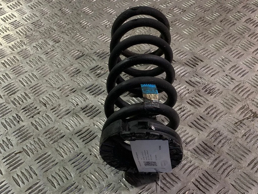 Rear coil spring