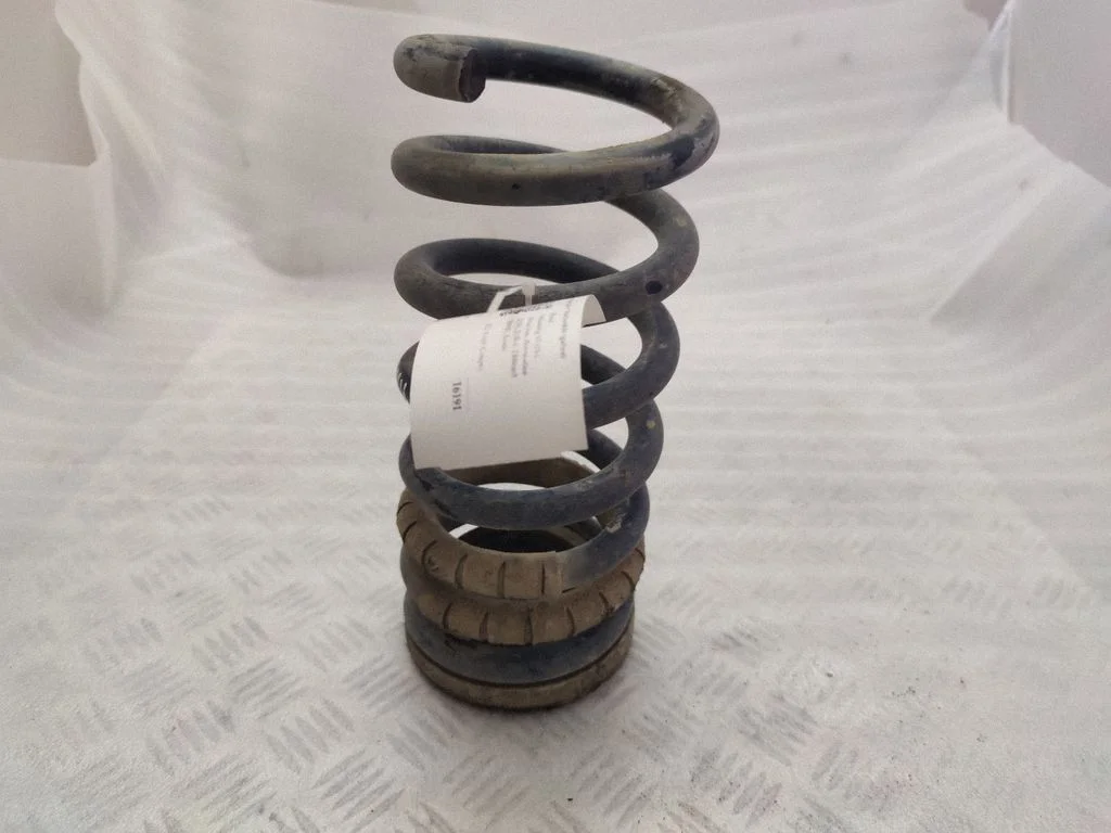 Rear coil spring