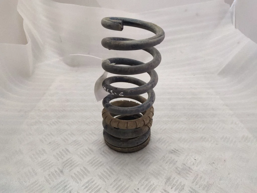 Rear coil spring
