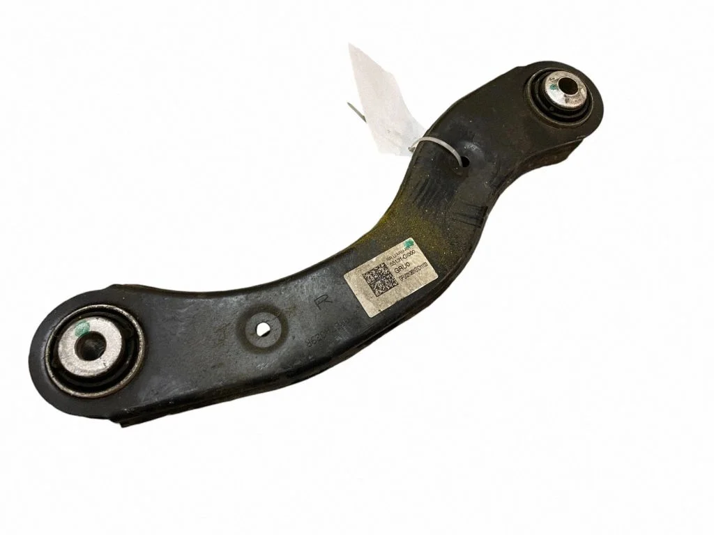 Rear control arm 55131GI000