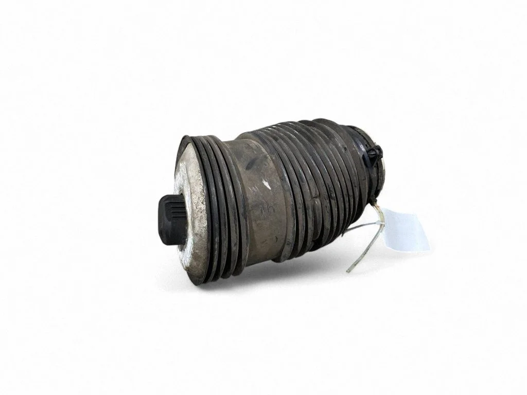 Rear air suspension bag/shock absorber A2053200225