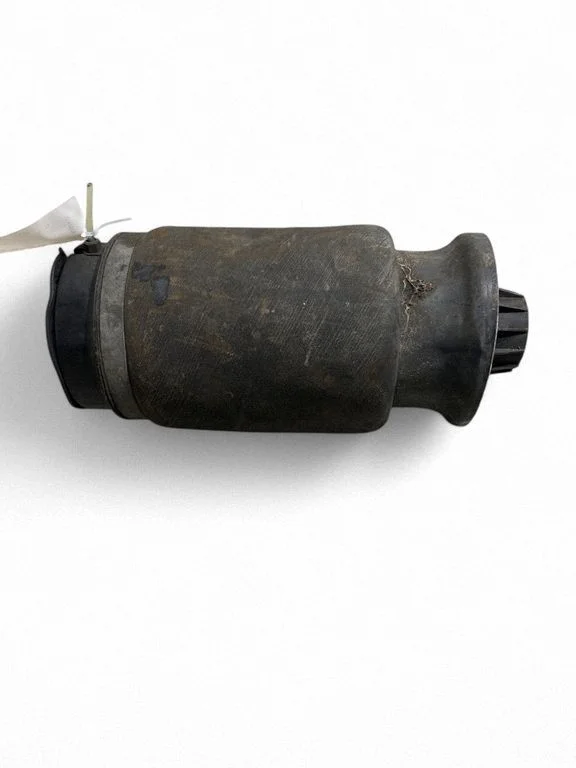 Tagumine õhkvedrustuse padi A1663200325