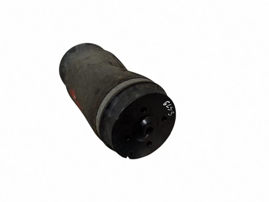 Rear air suspension bag/shock absorber R310716401