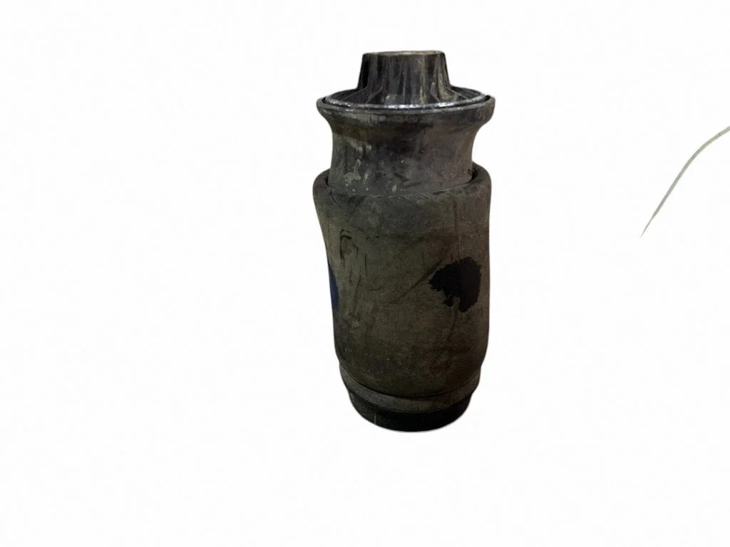 Rear air suspension bag/shock absorber R310716401