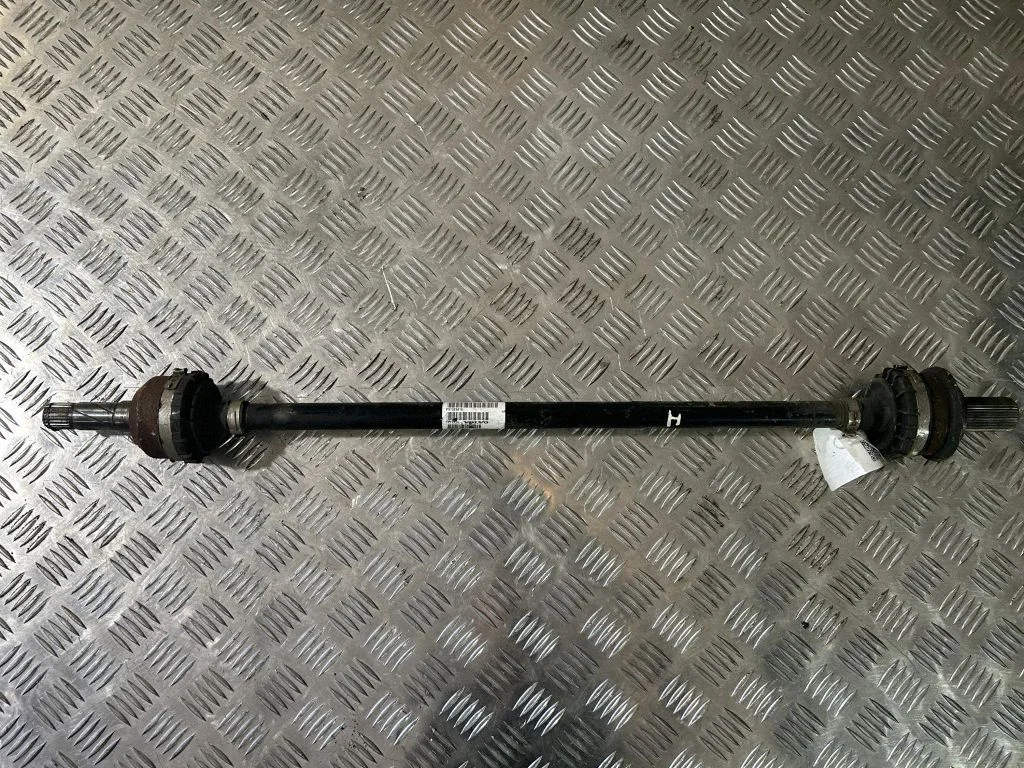 Aizmugurējā pusass 31325816