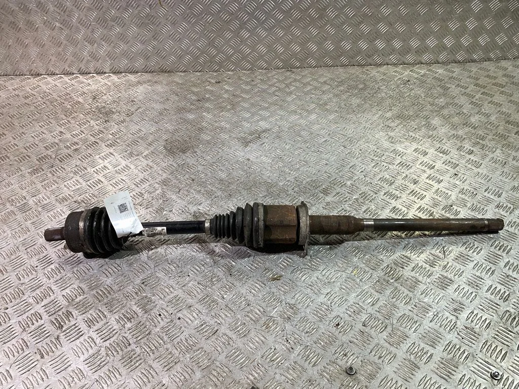 Priekšējā pusass 31325854