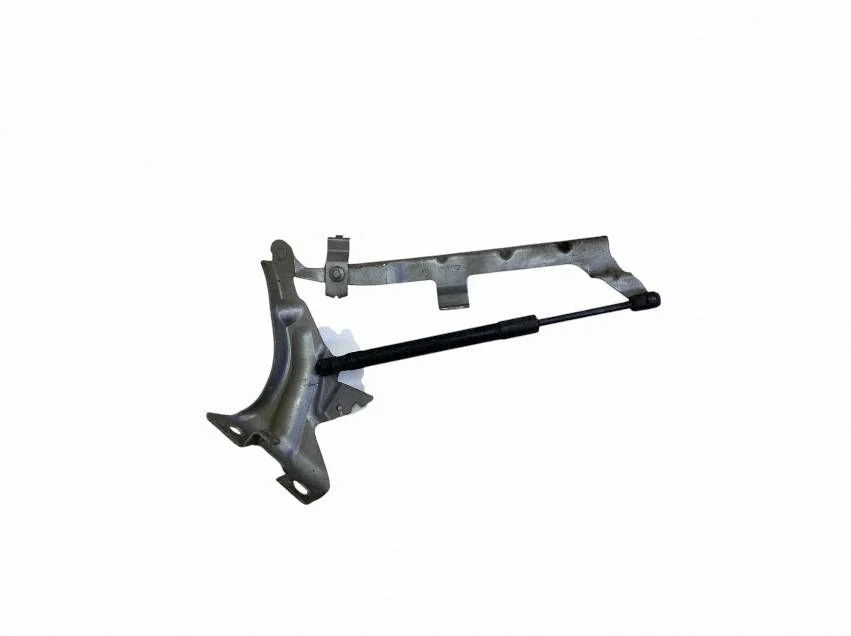 Motora pārsega eņģe (-es) 31352879