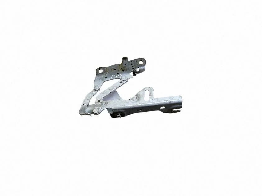Engine bonnet/hood hinges 7336699
