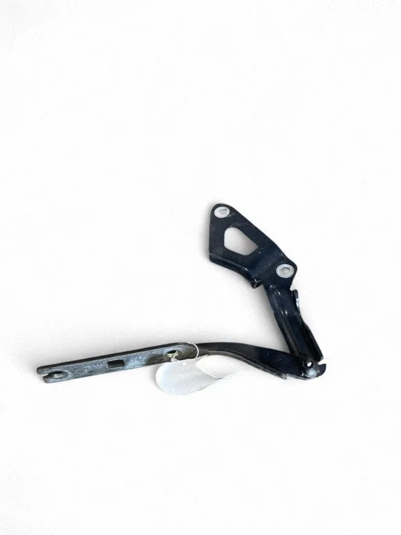 Engine bonnet/hood hinges 5NA823301J