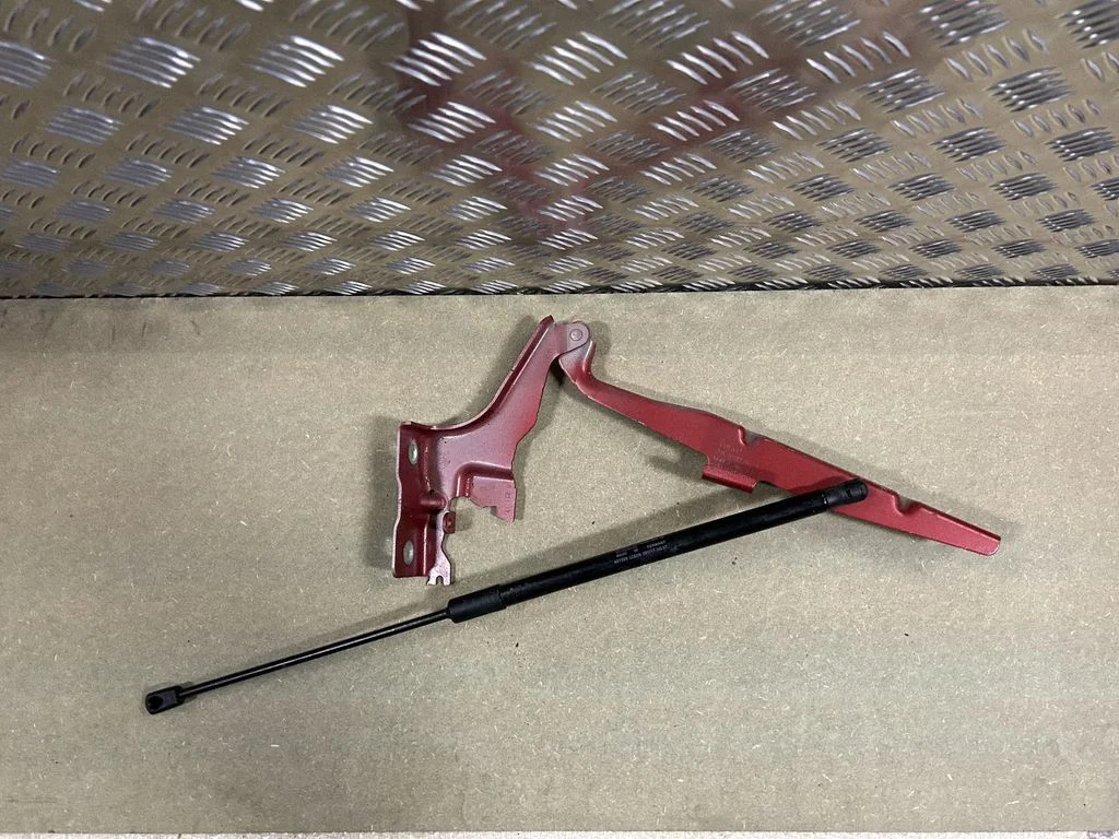 Engine bonnet/hood hinges 31424538