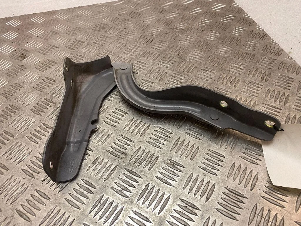 Engine bonnet/hood hinges – left
