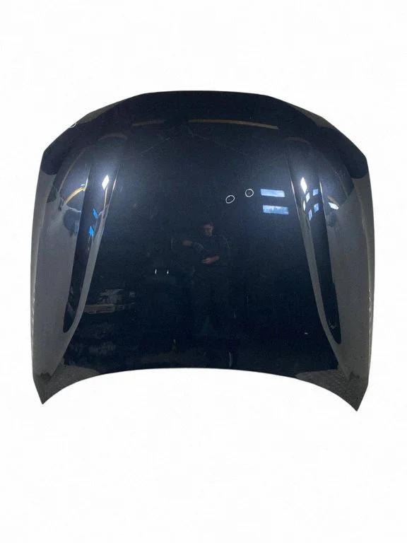 Engine bonnet/hood