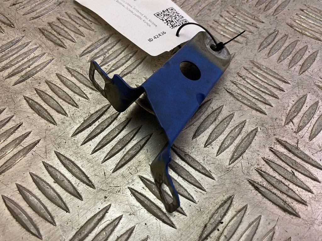Fender mounting bracket 8066937