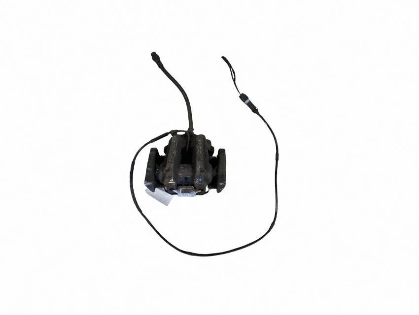 Tagumine pidurisadul – tagumine parem