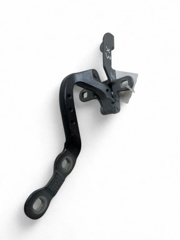 Tailgate/trunk/boot hinge 7397316