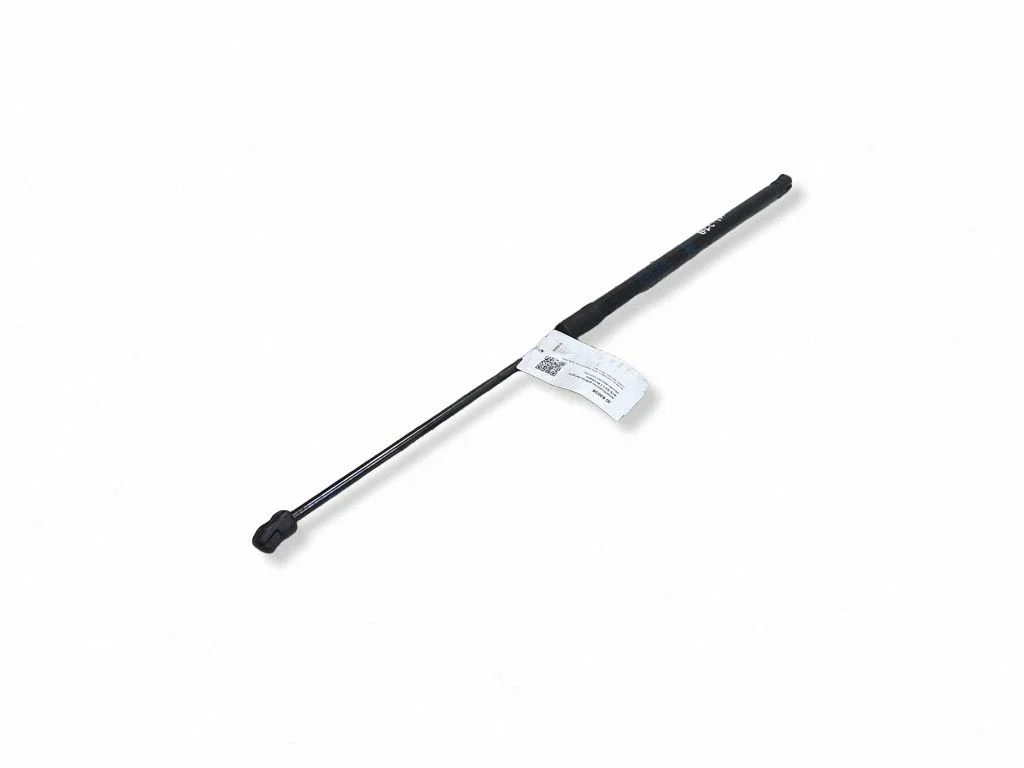 Tailgate/trunk strut/damper A2539800164