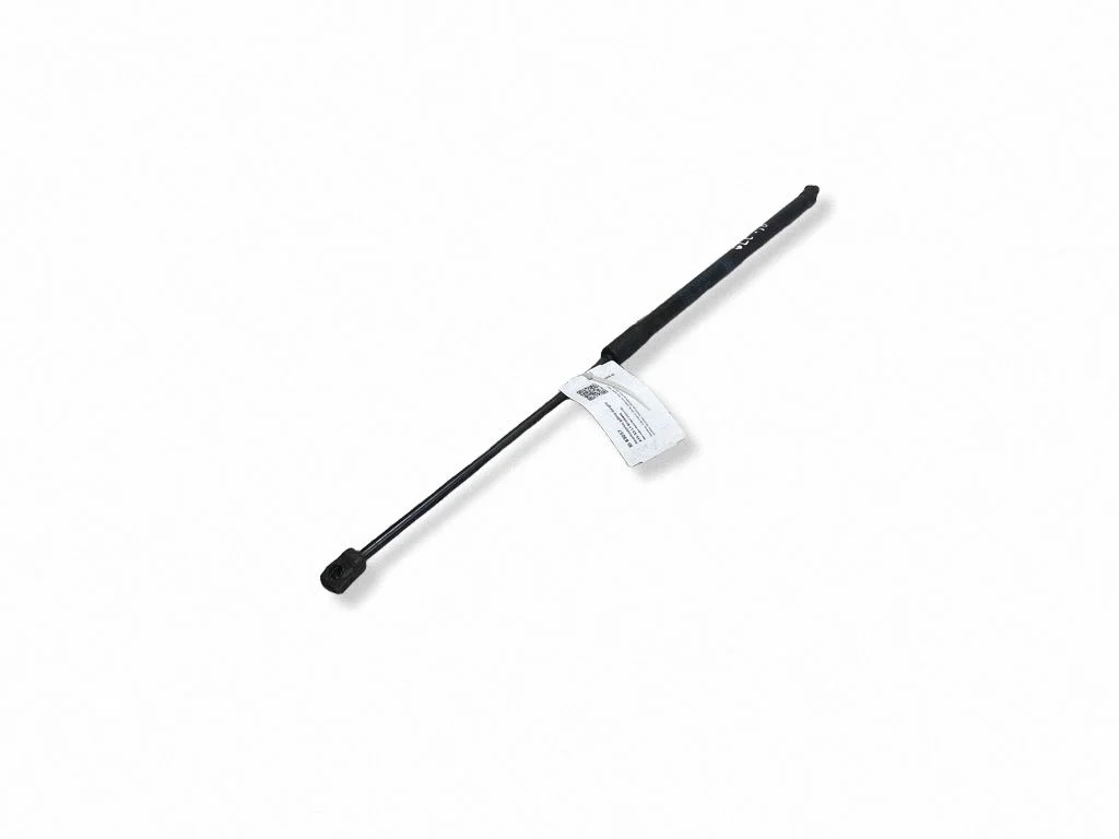 Tailgate/trunk strut/damper A2539800164