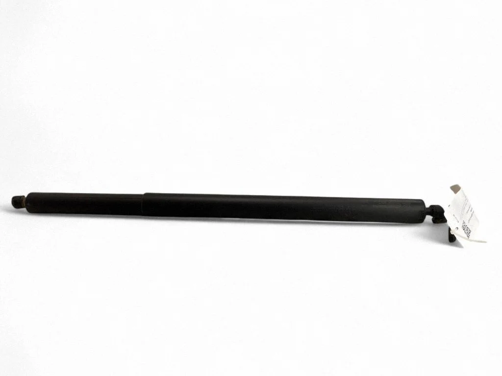 Tagaluugi gaasiamortisaator 81841N7100