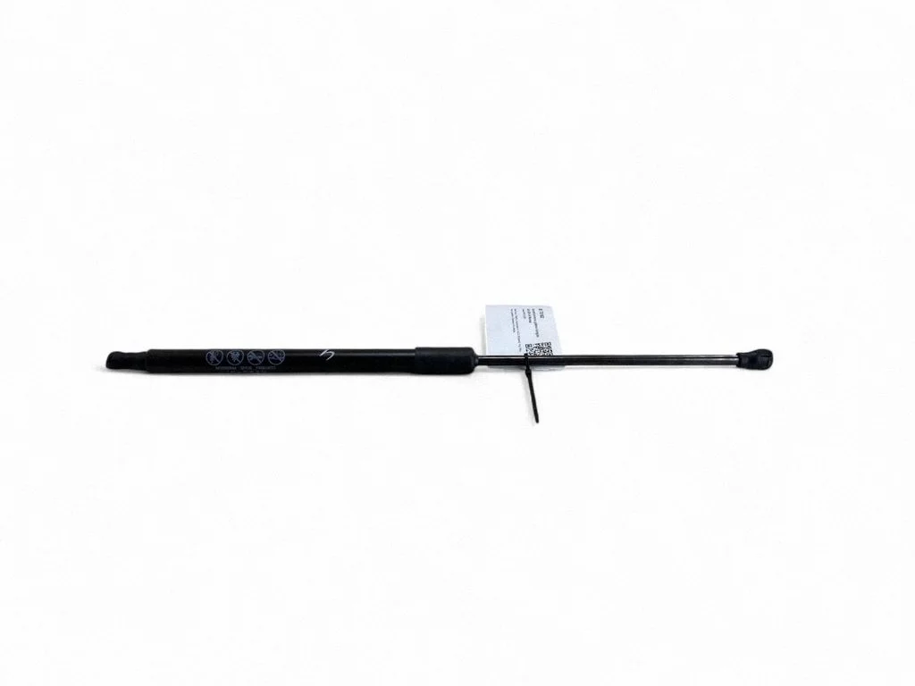 Tailgate/trunk strut/damper 534400W480