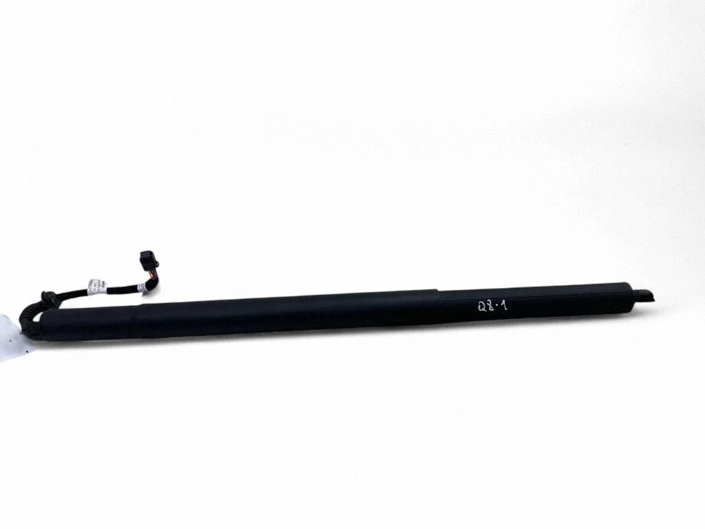 Tagaluugi gaasiamortisaator 4M8827851D